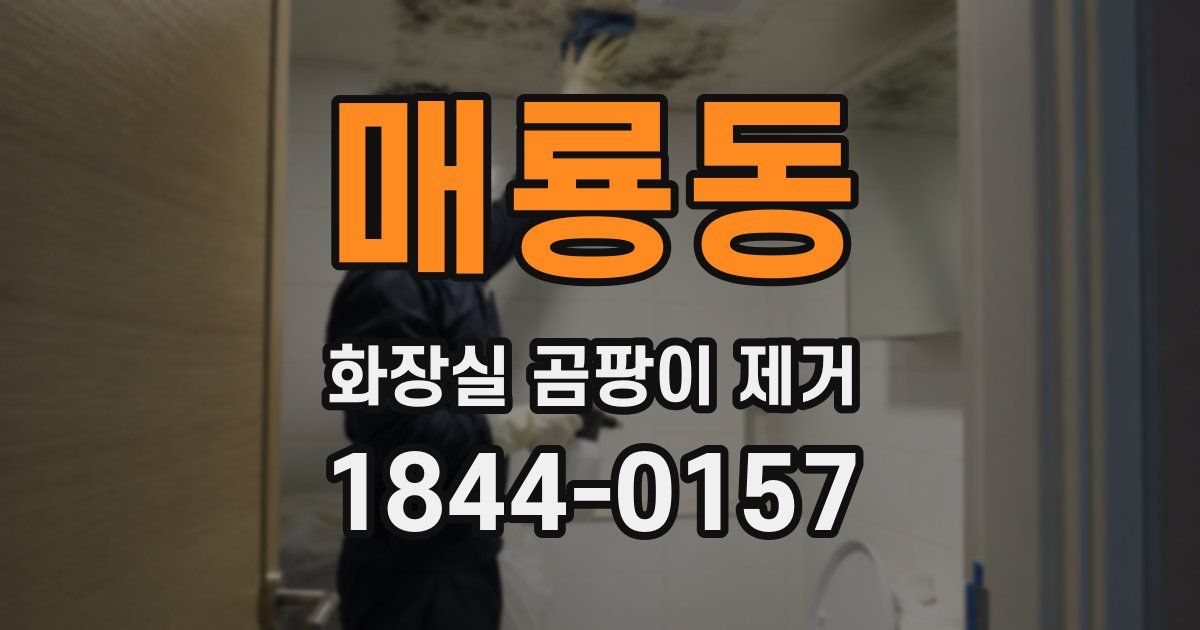 매룡동 화장실 곰팡이 제거
