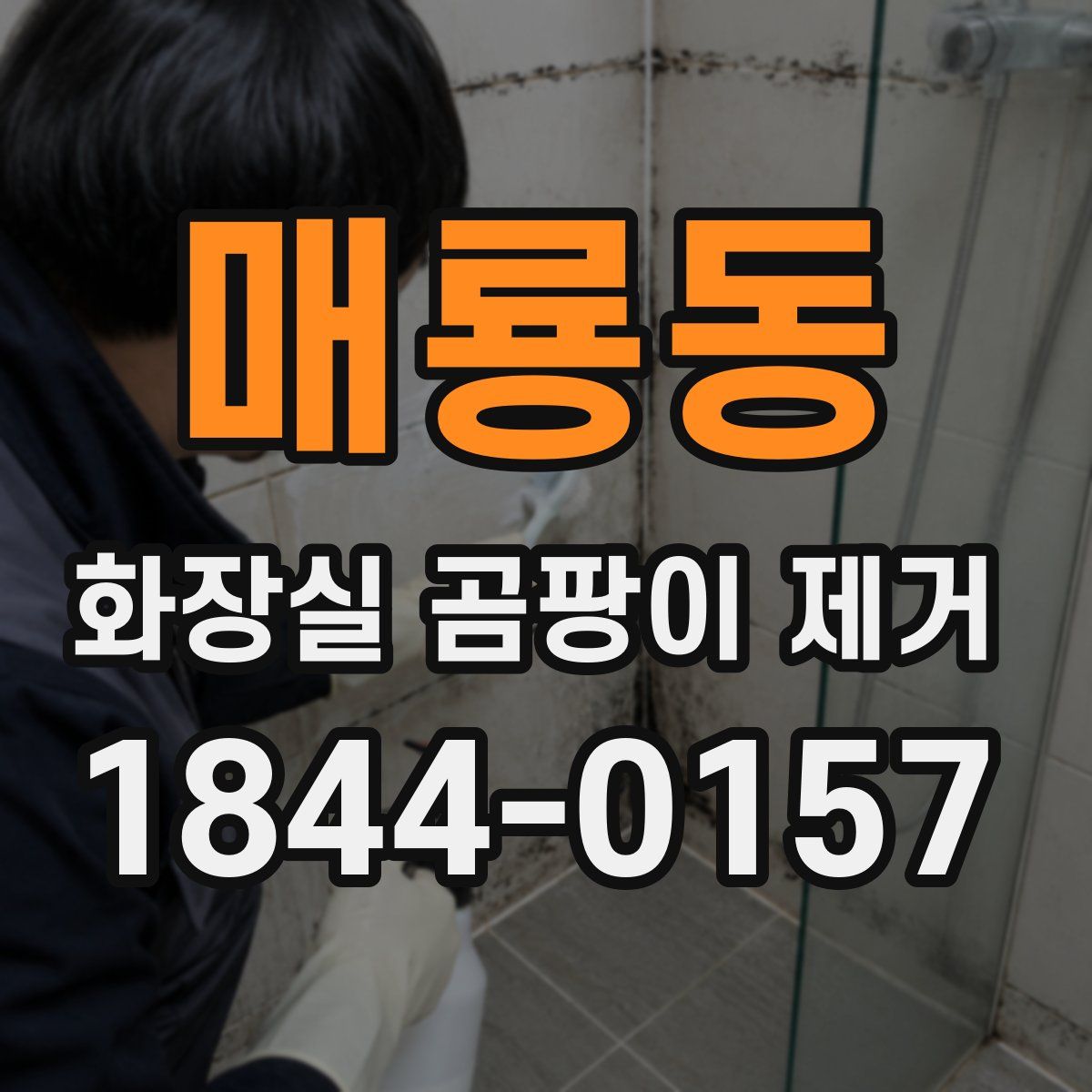 매룡동 화장실 곰팡이 제거