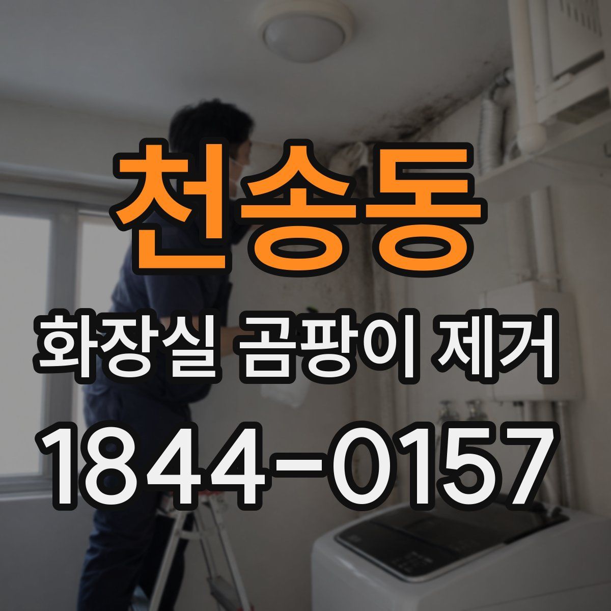 천송동 화장실 곰팡이 제거