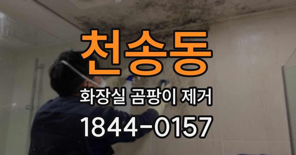 천송동 화장실 곰팡이 제거