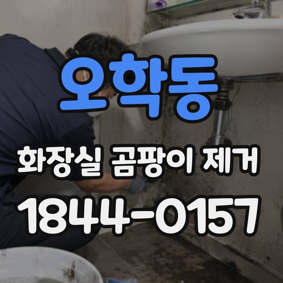 오학동 화장실 곰팡이 제거 전에 세정 성분 차이를 먼저 보는 까닭