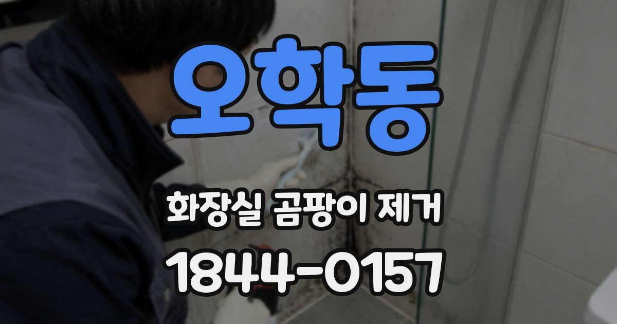 오학동 화장실 곰팡이 제거