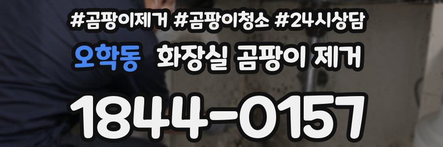 오학동 화장실 곰팡이 제거