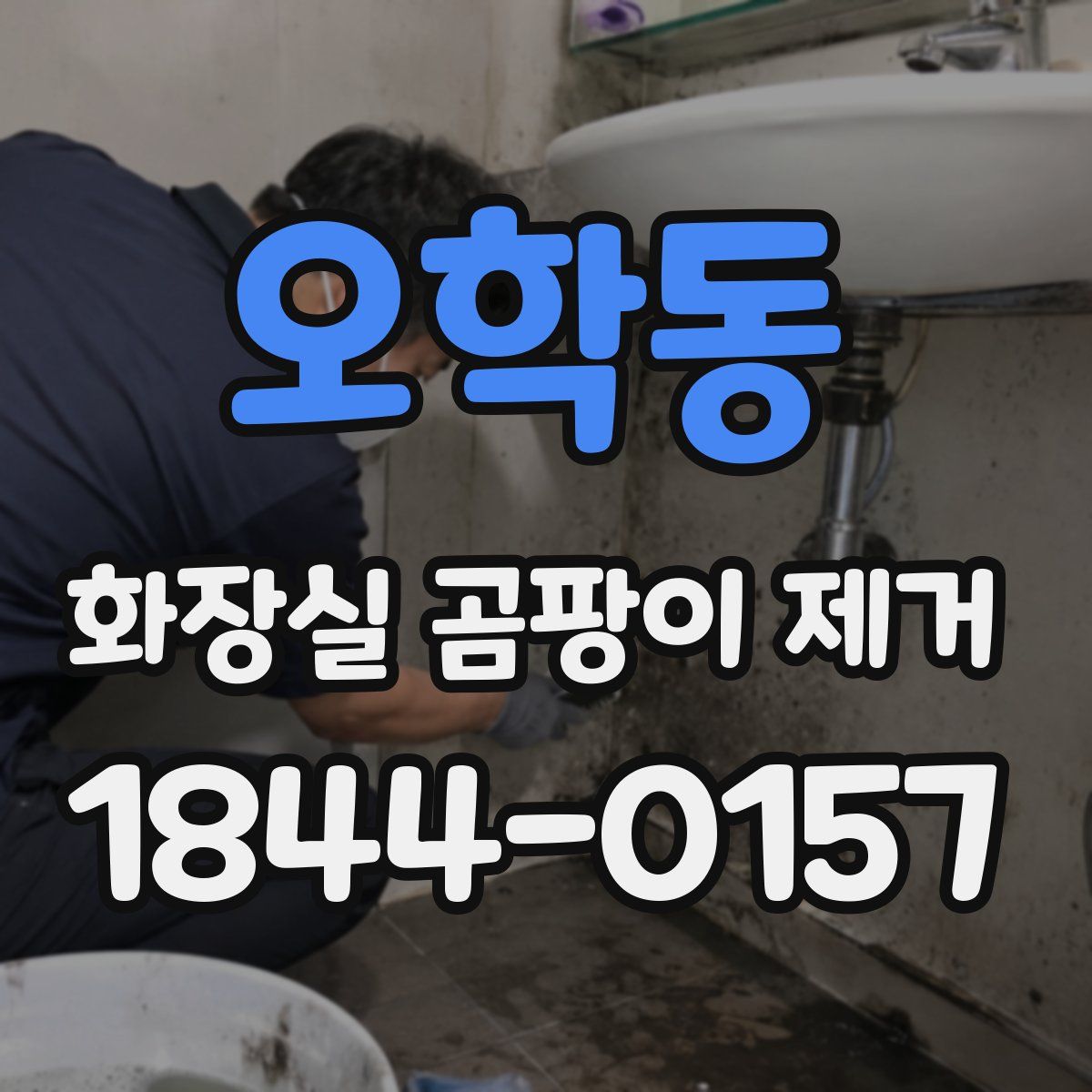 오학동 화장실 곰팡이 제거