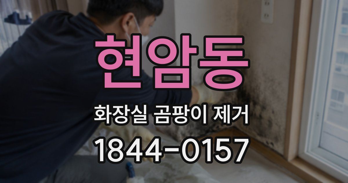 현암동 화장실 곰팡이 제거