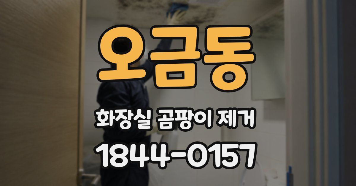 오금동 화장실 곰팡이 제거