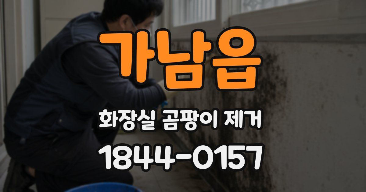 가남읍 화장실 곰팡이 제거