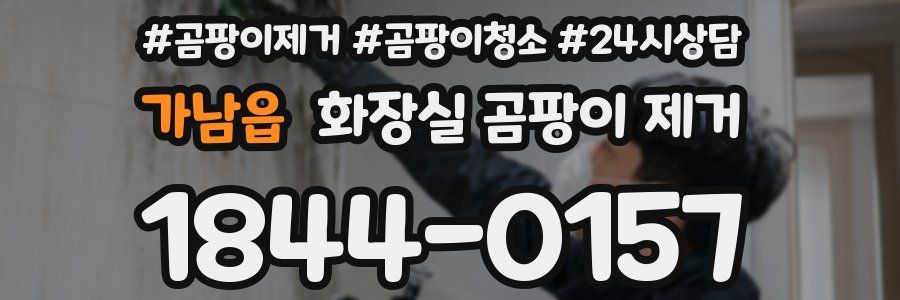 가남읍 화장실 곰팡이 제거
