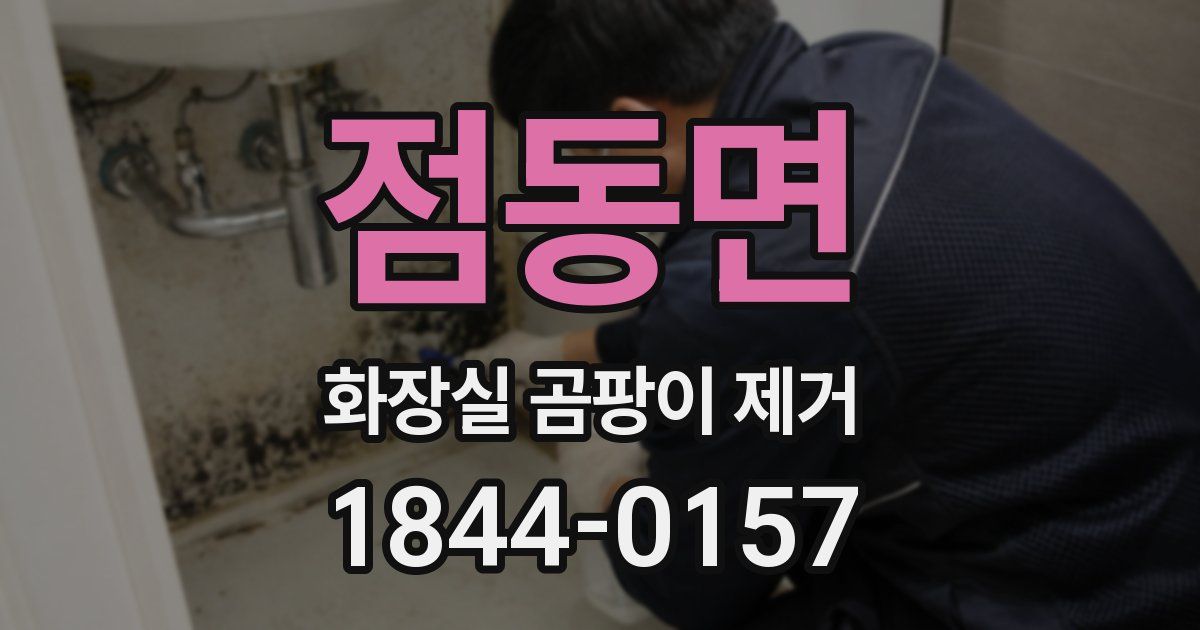 점동면 화장실 곰팡이 제거