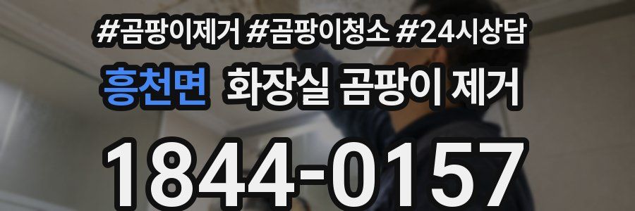흥천면 화장실 곰팡이 제거