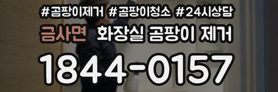 금사면 화장실 곰팡이 제거