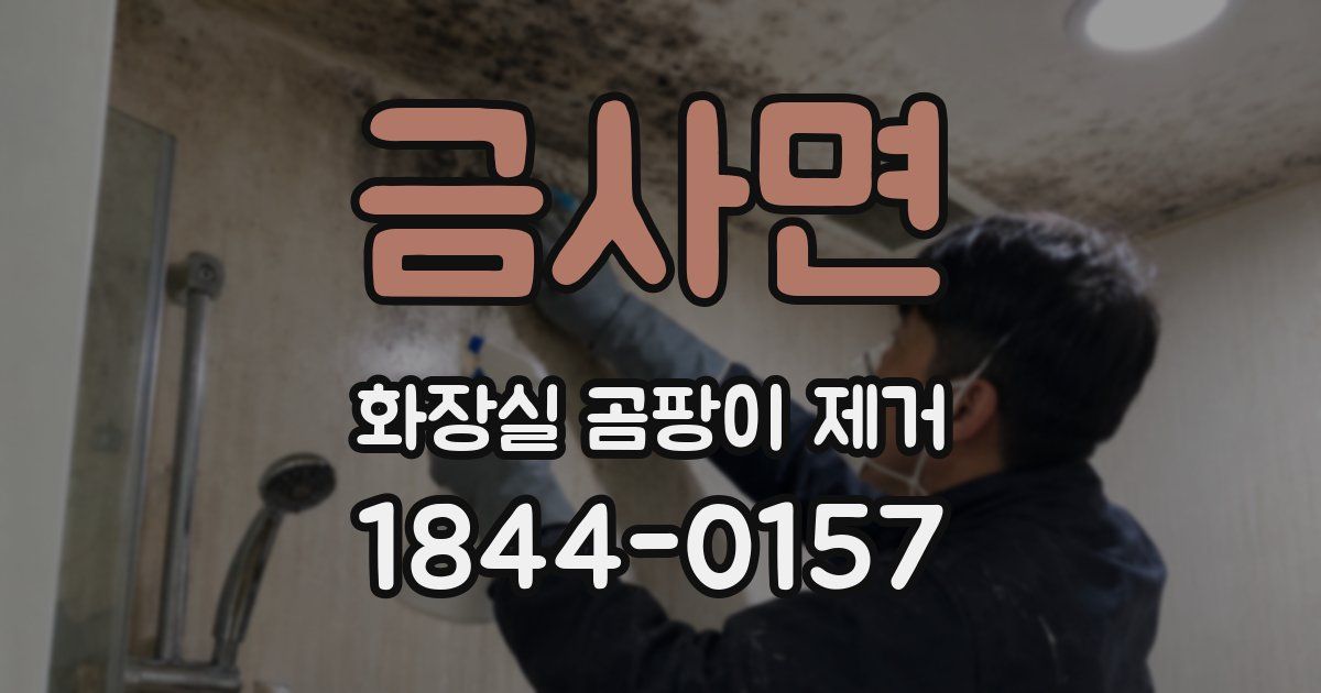 금사면 화장실 곰팡이 제거