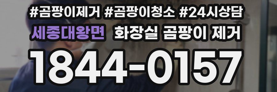 세종대왕면 화장실 곰팡이 제거