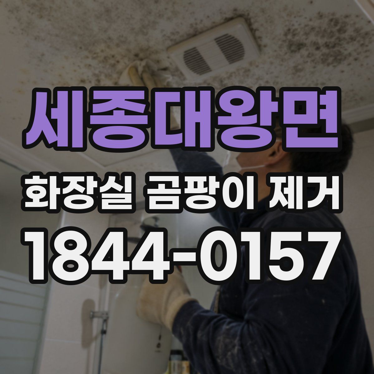 세종대왕면 화장실 곰팡이 제거