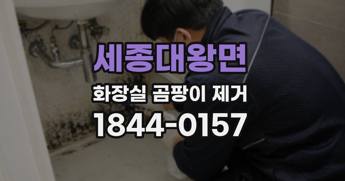 세종대왕면 화장실 곰팡이 제거