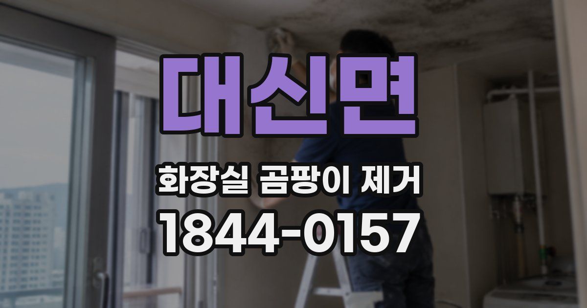 대신면 화장실 곰팡이 제거