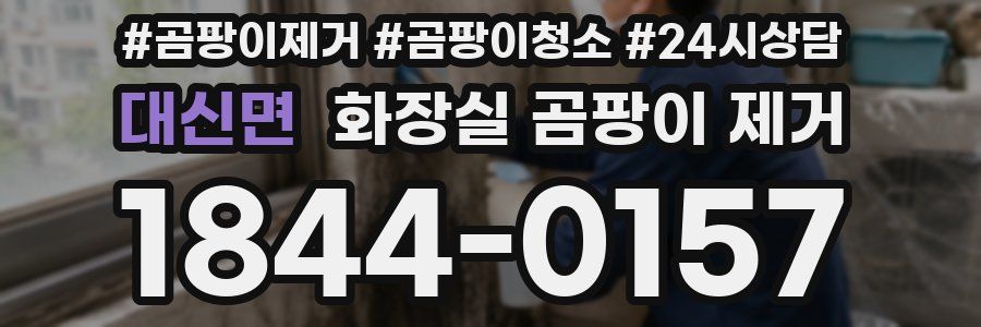 대신면 화장실 곰팡이 제거