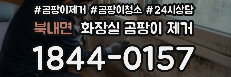 북내면 화장실 곰팡이 제거