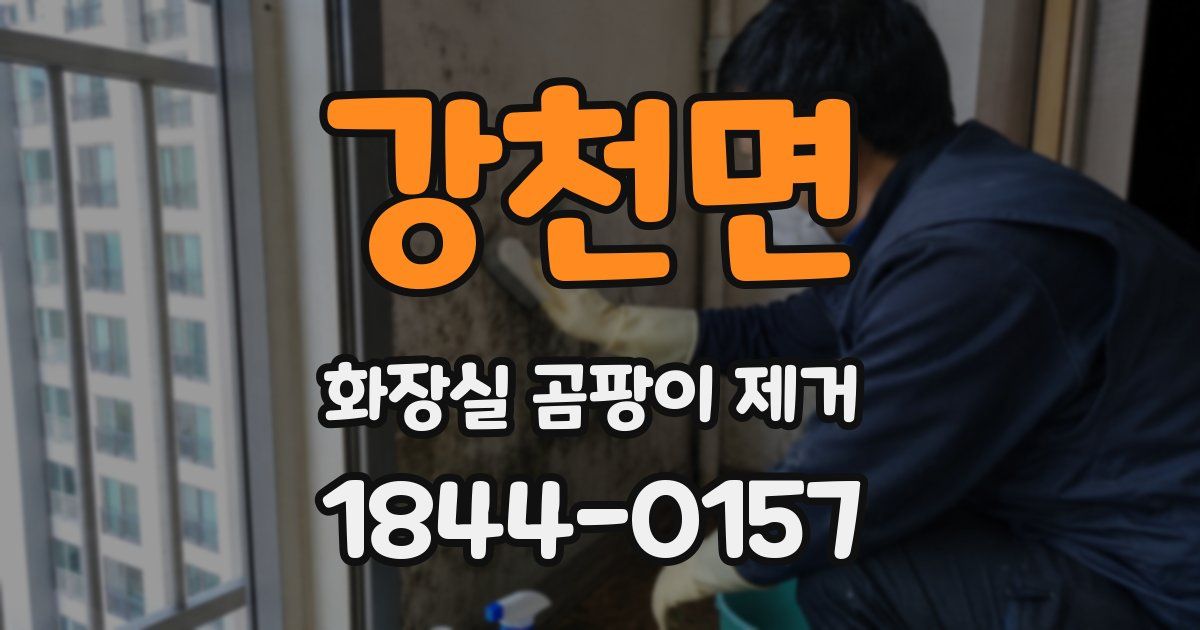 강천면 화장실 곰팡이 제거