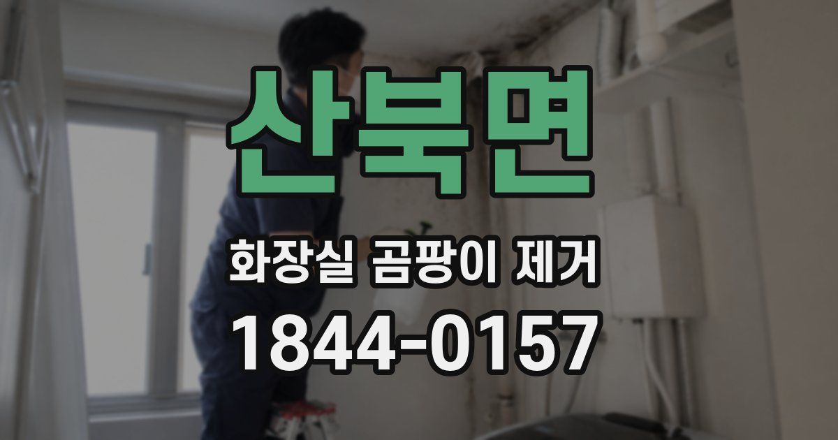 산북면 화장실 곰팡이 제거