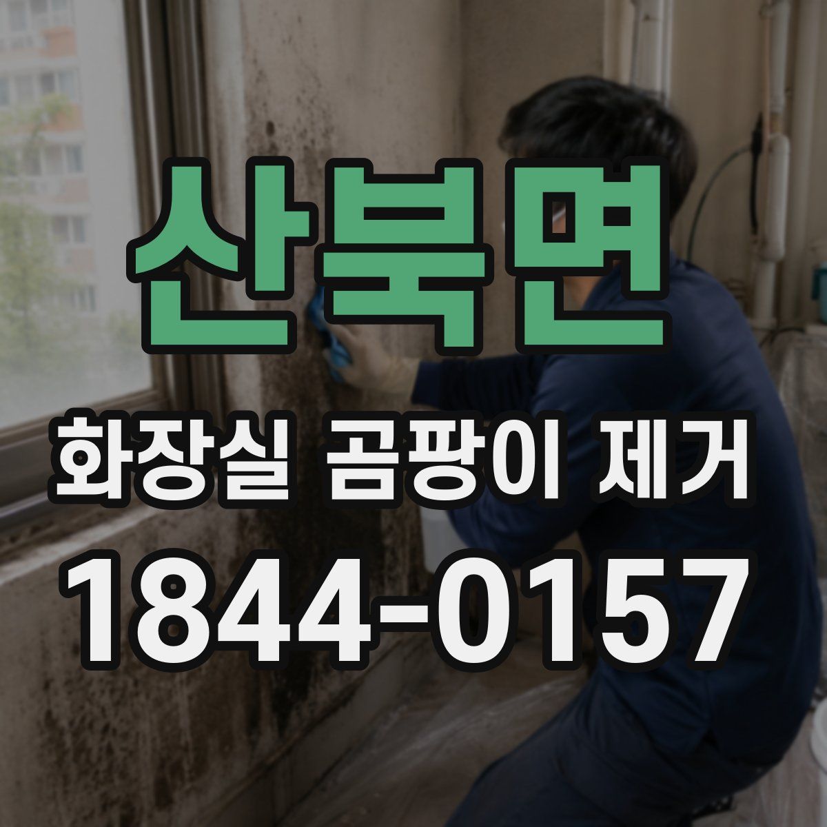 산북면 화장실 곰팡이 제거