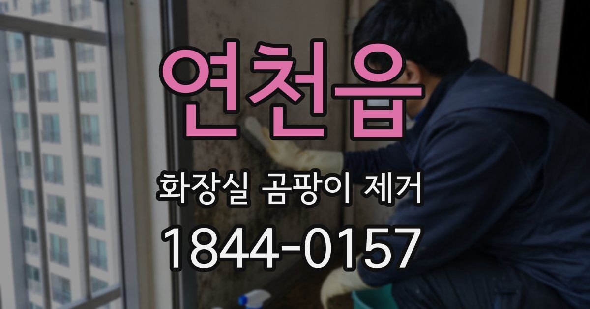 연천읍 화장실 곰팡이 제거