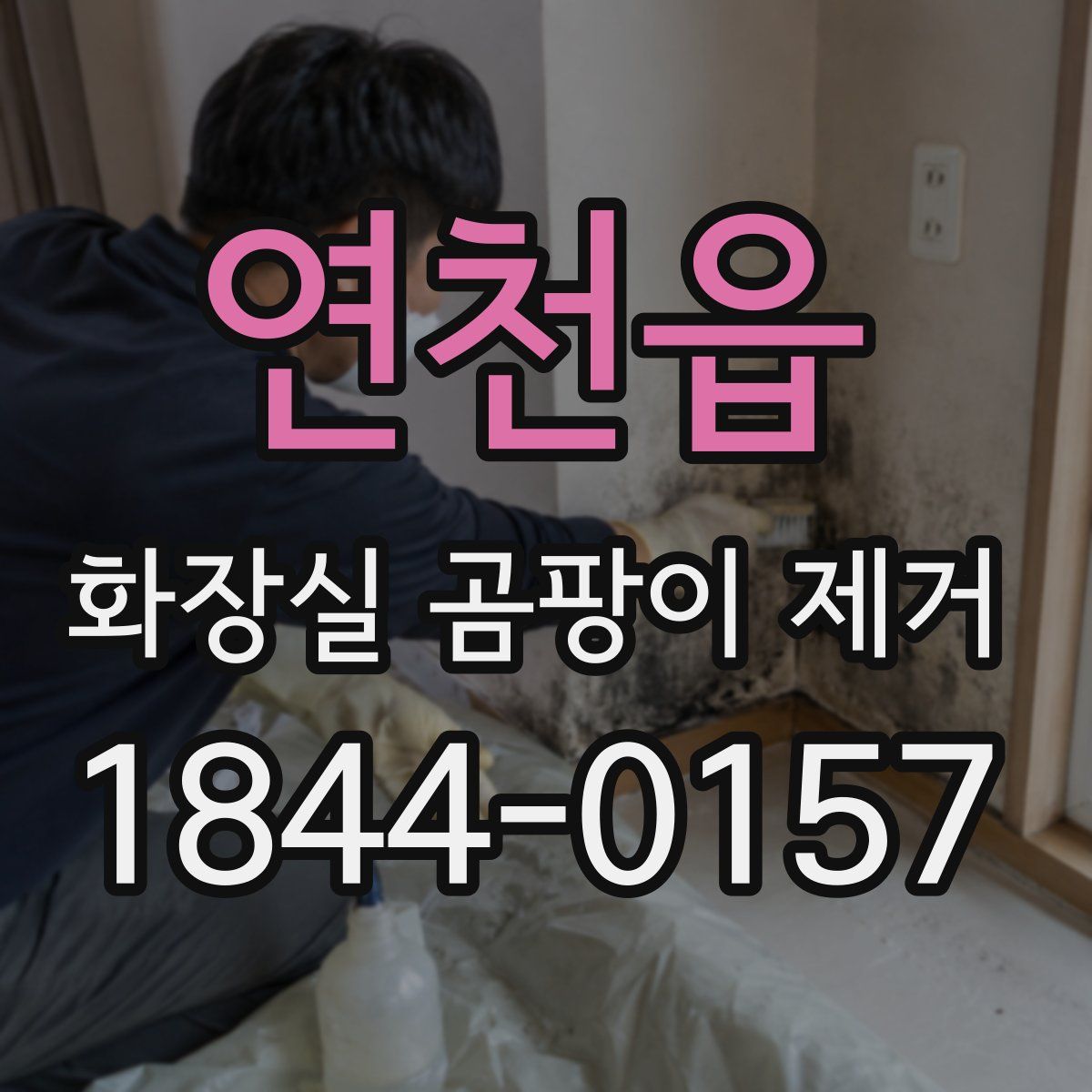 연천읍 화장실 곰팡이 제거