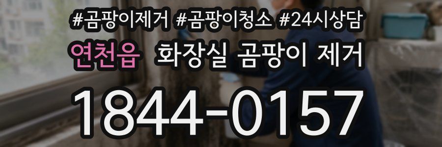 연천읍 화장실 곰팡이 제거