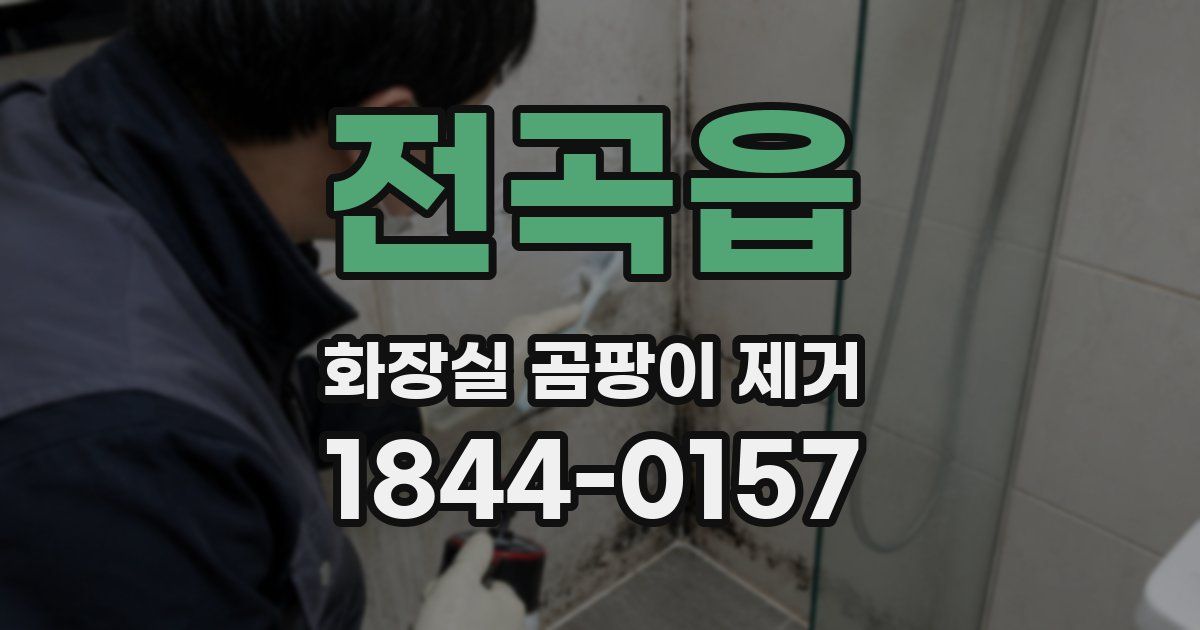 전곡읍 화장실 곰팡이 제거