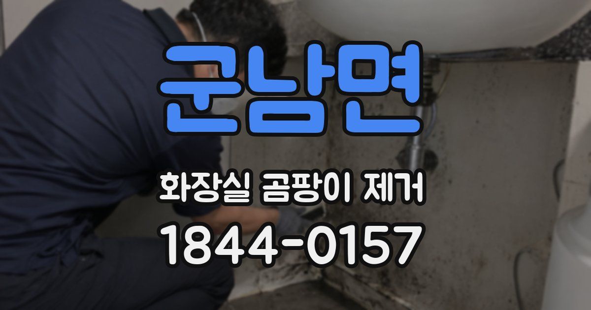 군남면 화장실 곰팡이 제거