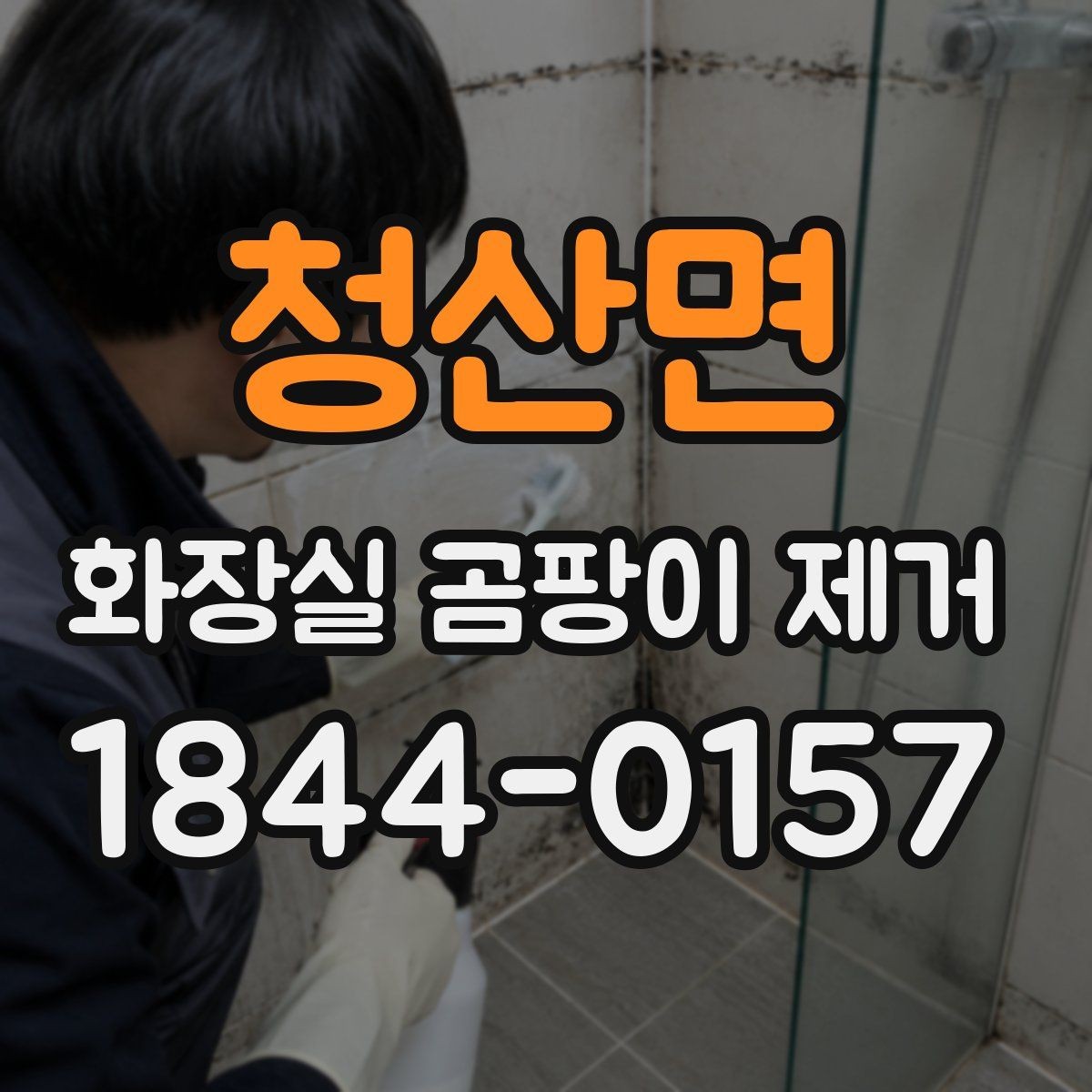 청산면 화장실 곰팡이 제거 분사형 제품이 편한 상황과 주의점