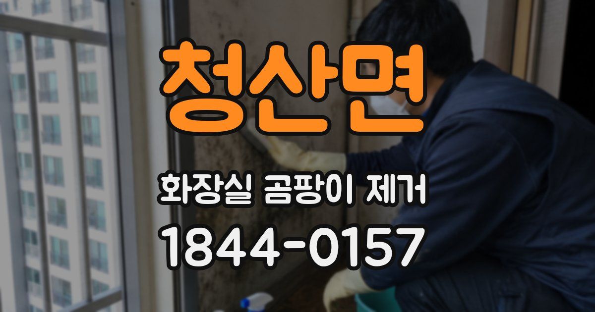 청산면 화장실 곰팡이 제거