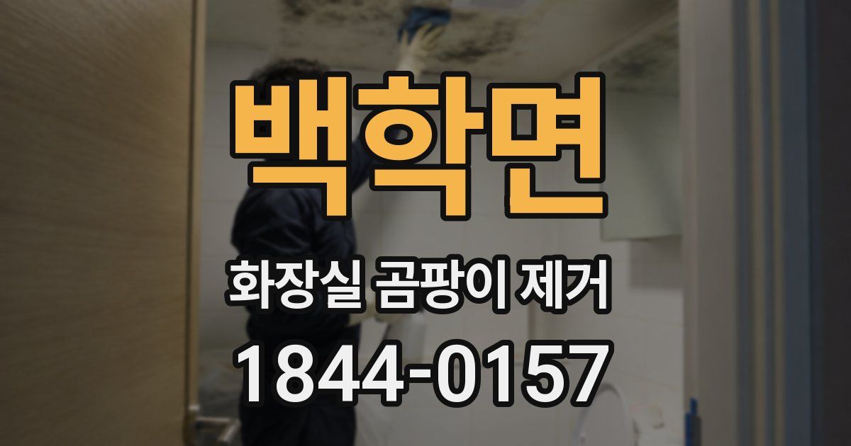백학면 화장실 곰팡이 제거