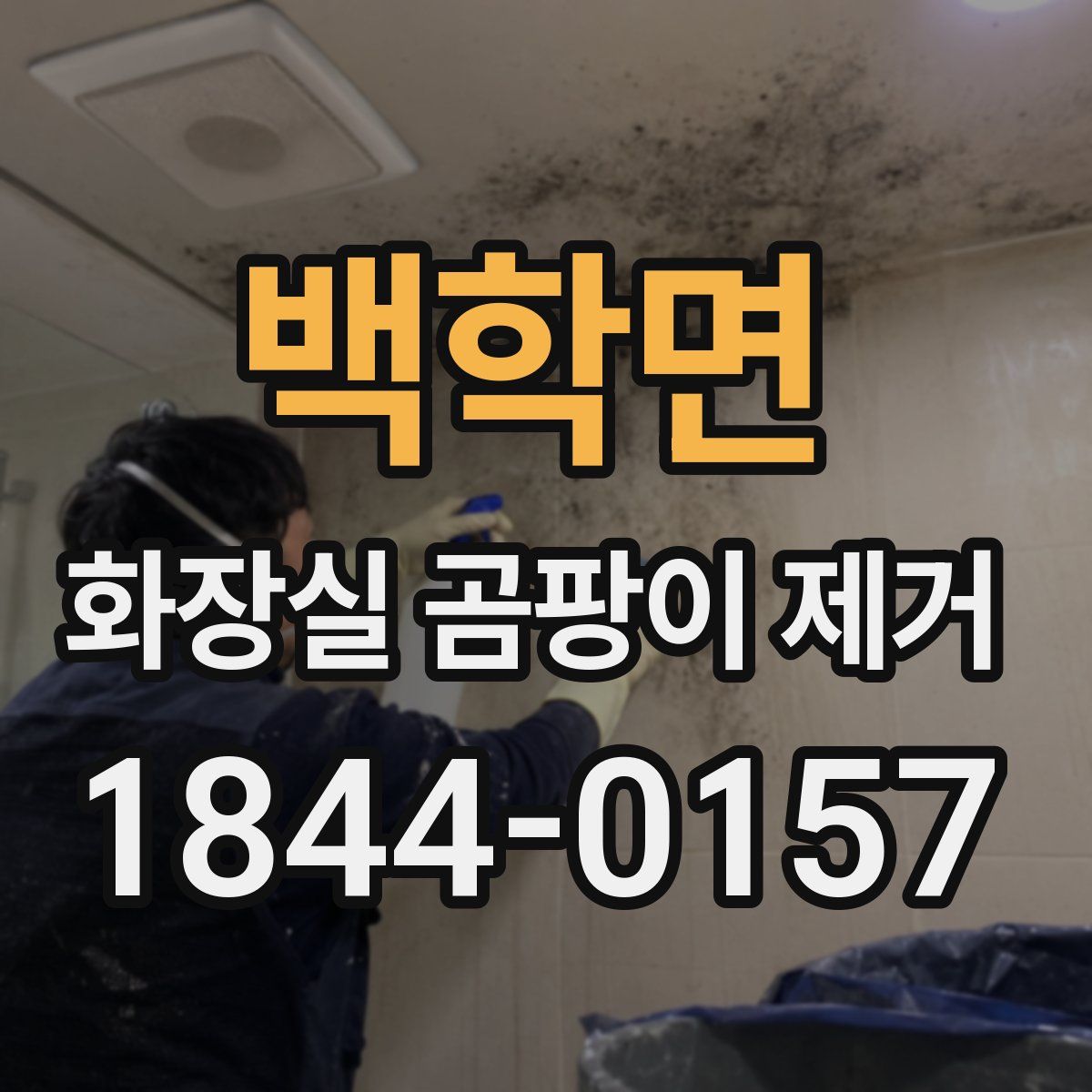 백학면 화장실 곰팡이 제거