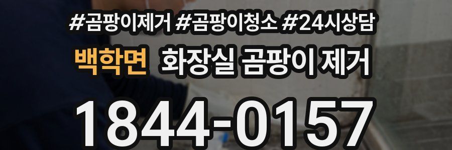 백학면 화장실 곰팡이 제거