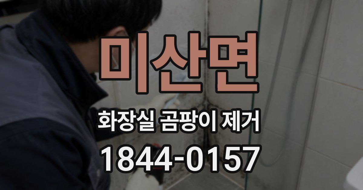 미산면 화장실 곰팡이 제거