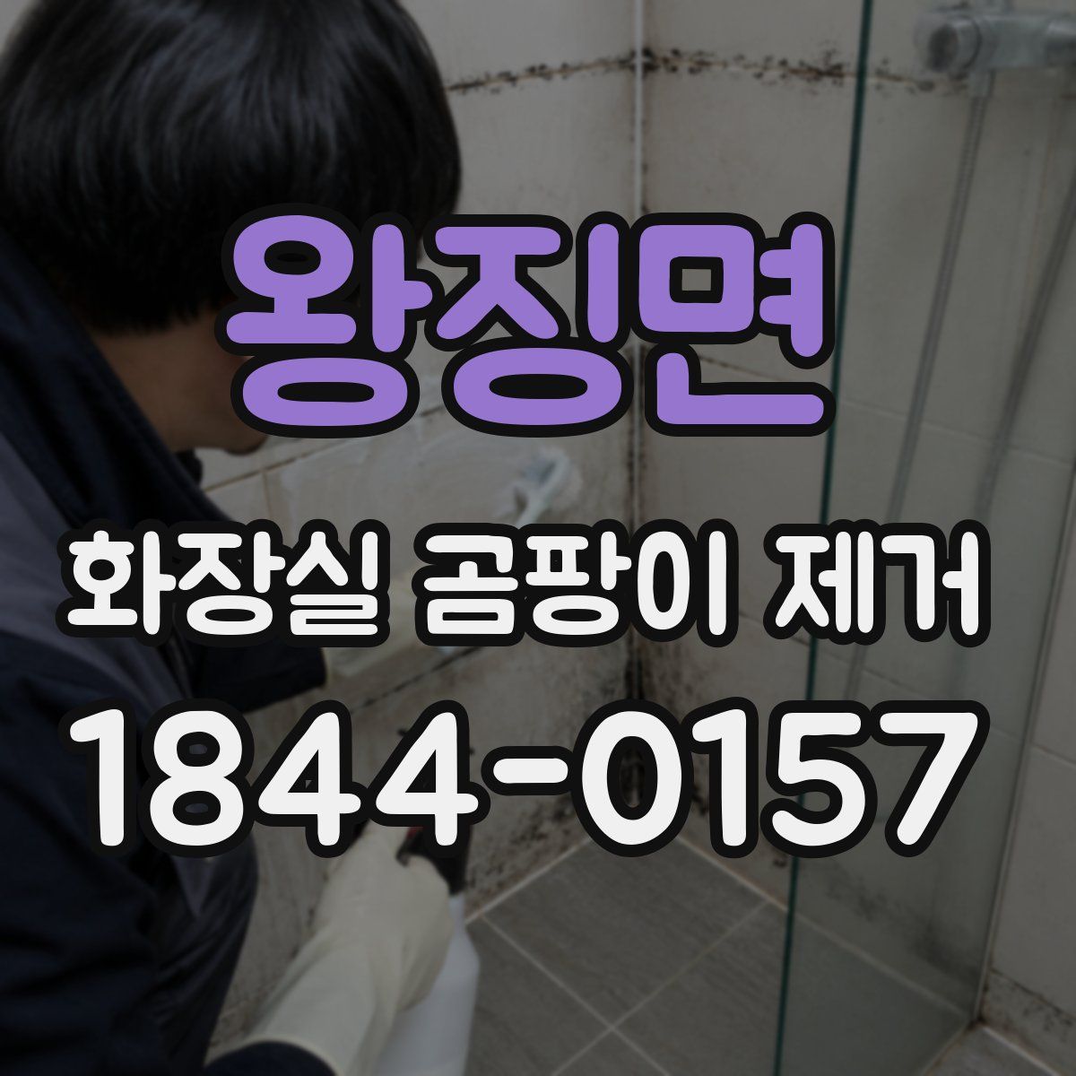 왕징면 화장실 곰팡이 제거