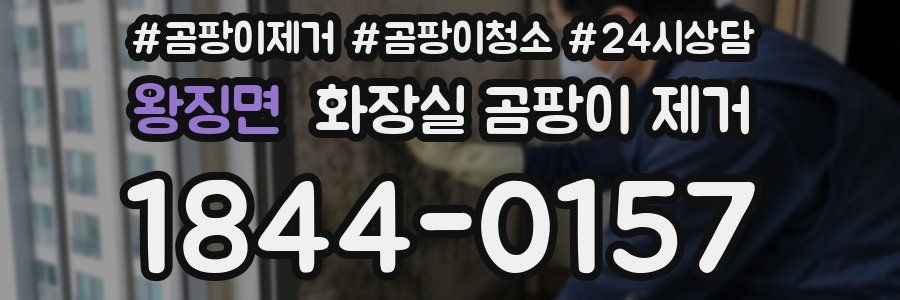 왕징면 화장실 곰팡이 제거