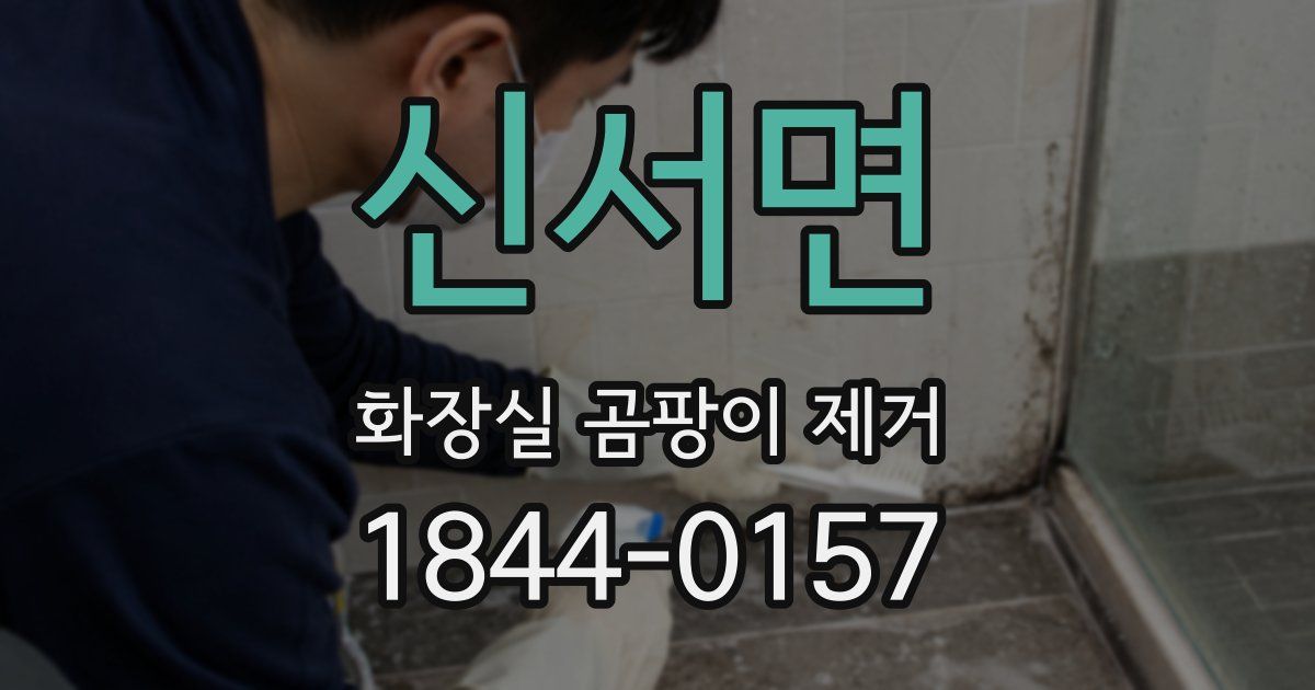 신서면 화장실 곰팡이 제거