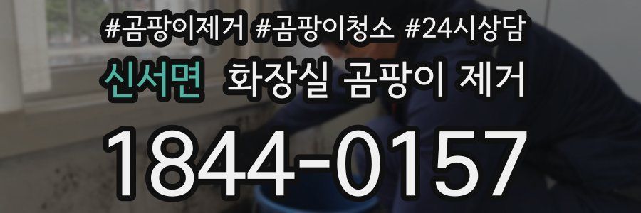 신서면 화장실 곰팡이 제거