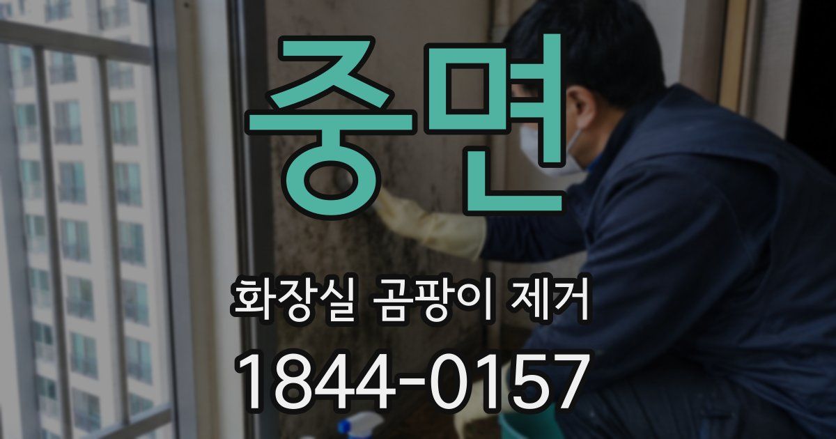 중면 화장실 곰팡이 제거