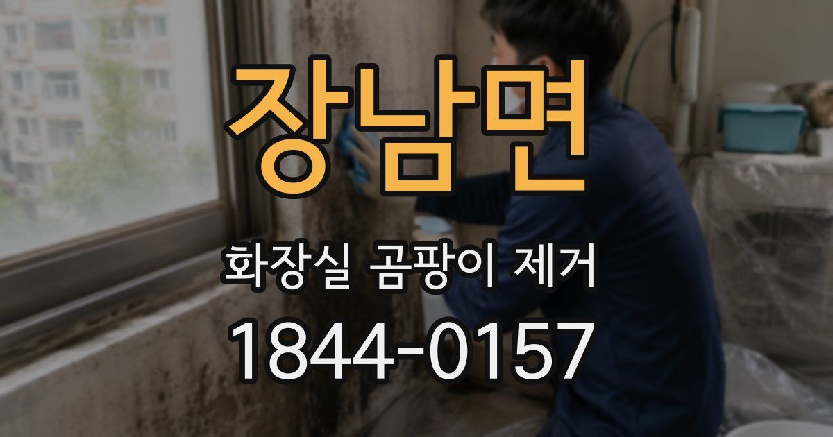 장남면 화장실 곰팡이 제거
