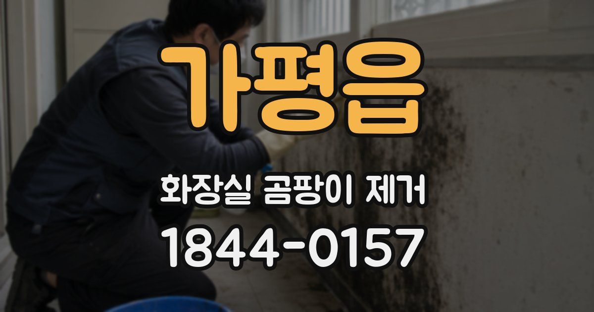 가평읍 화장실 곰팡이 제거