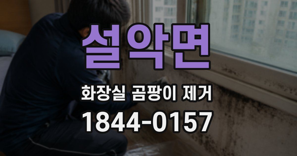설악면 화장실 곰팡이 제거