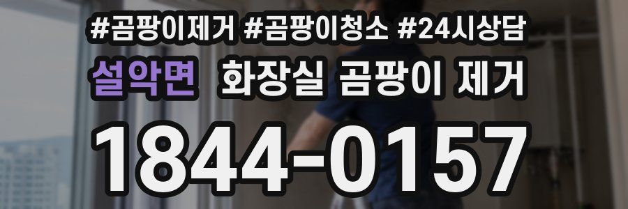 설악면 화장실 곰팡이 제거