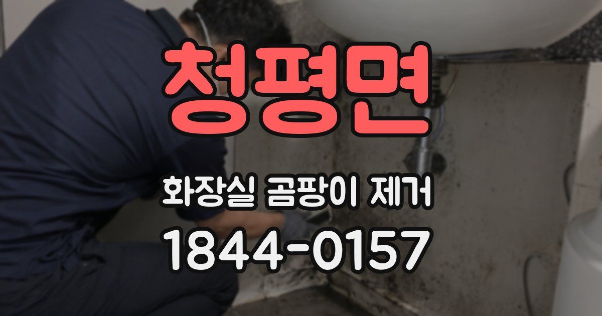 청평면 화장실 곰팡이 제거