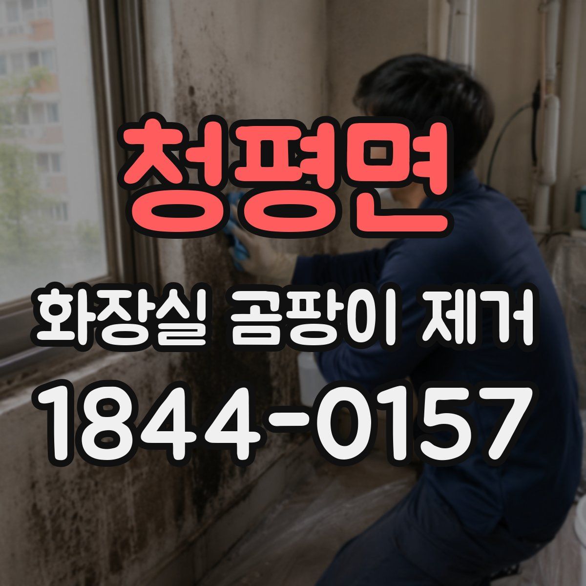 청평면 화장실 곰팡이 제거