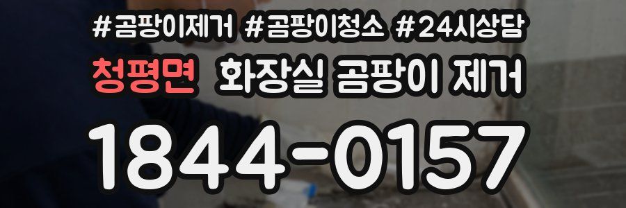 청평면 화장실 곰팡이 제거