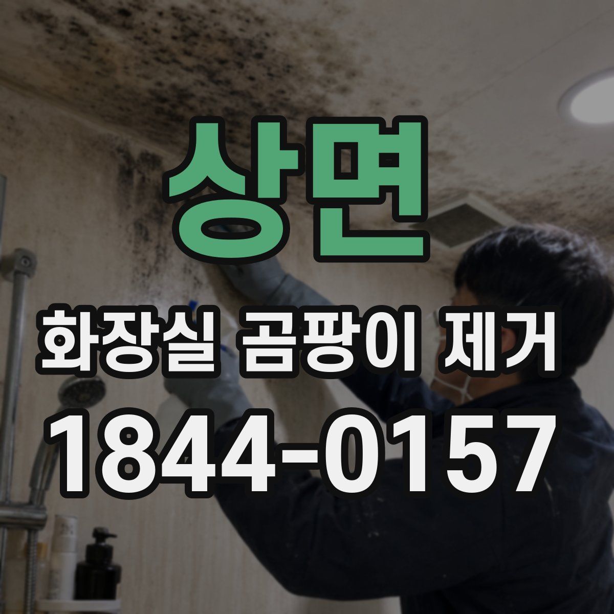 상면 화장실 곰팡이 제거