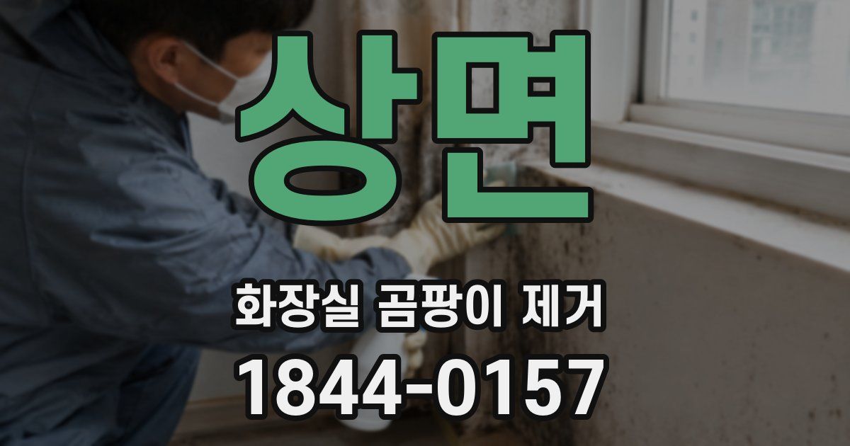 상면 화장실 곰팡이 제거